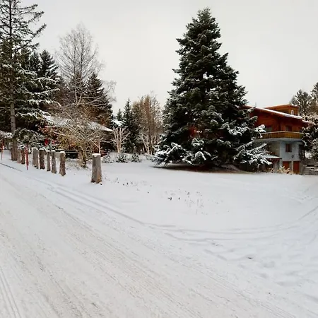 5min. From The Slopes Crans-montana, 2 Bedrooms, Covered Parking Apartment Crans-Montana